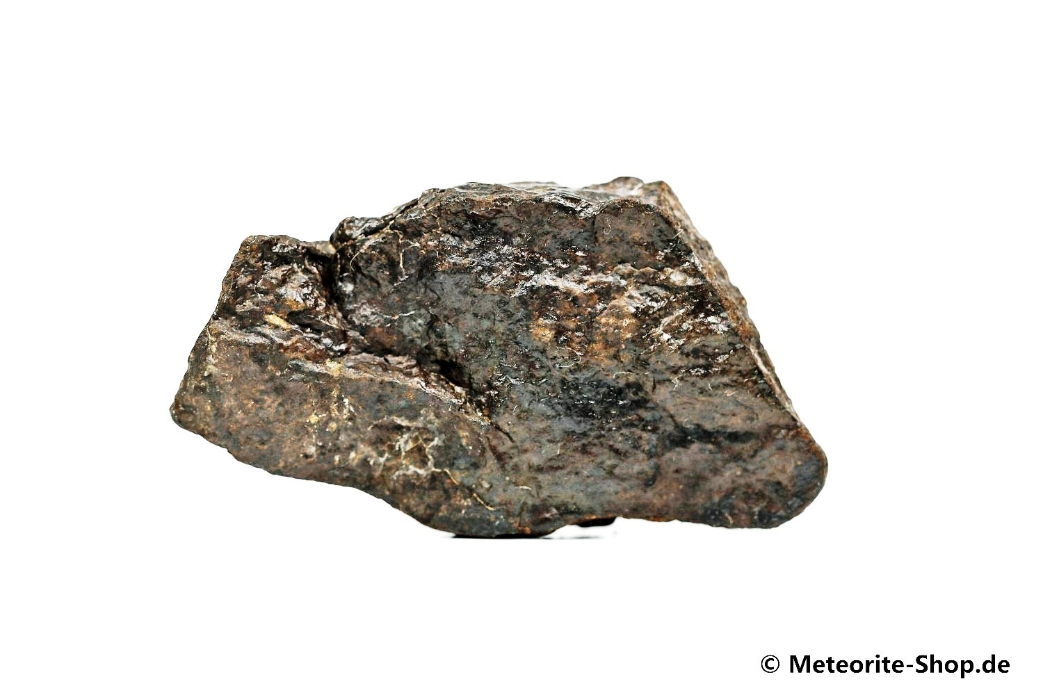 NWA Westsahara Meteorit - 44,30 g
