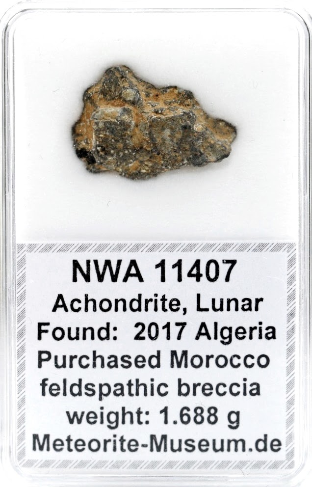 NWA 11407 Mond Meteorit - 1,688 g