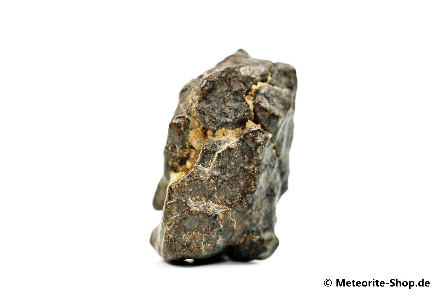 NWA Zagora Meteorit - 10,70 g