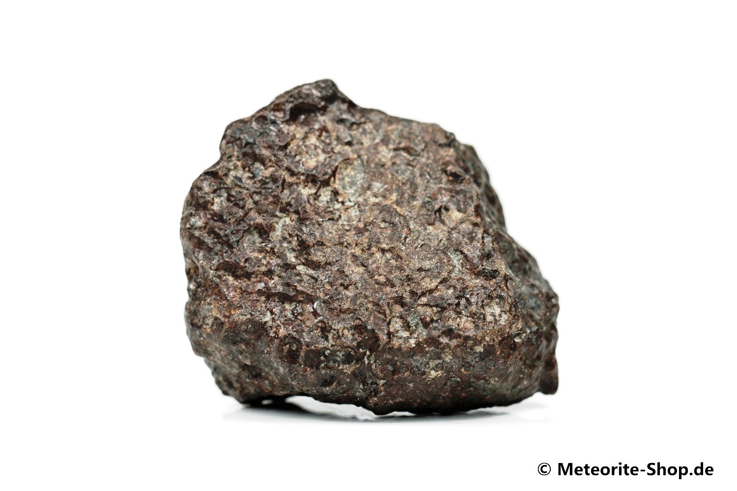 NWA 869 Meteorit - 56,70 g