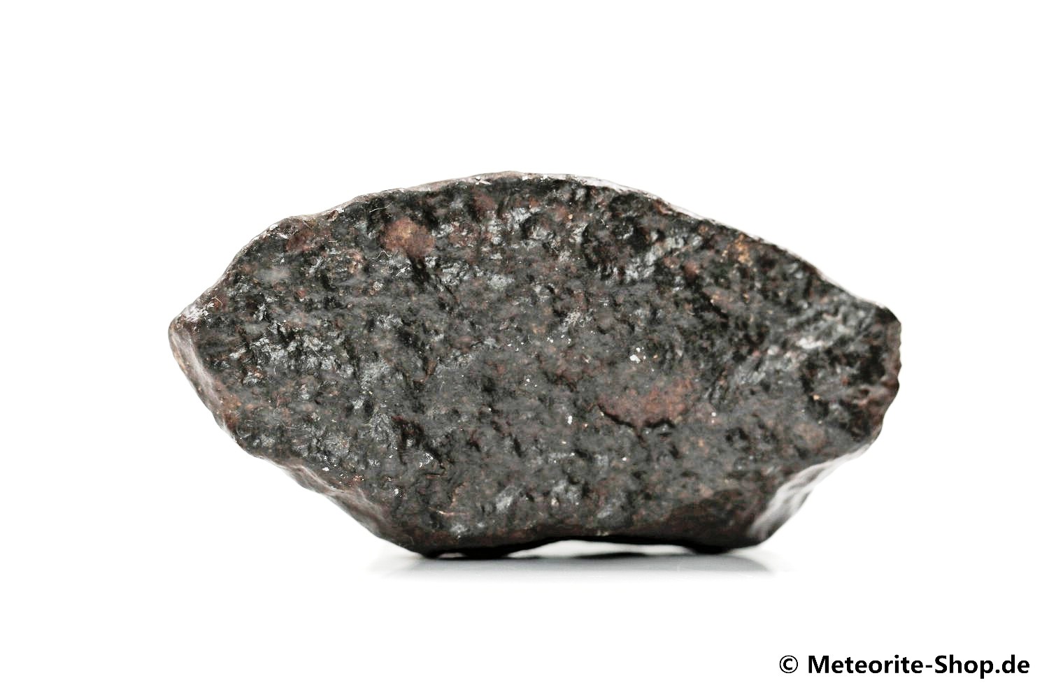 NWA Zagora Meteorit - 40,60 g