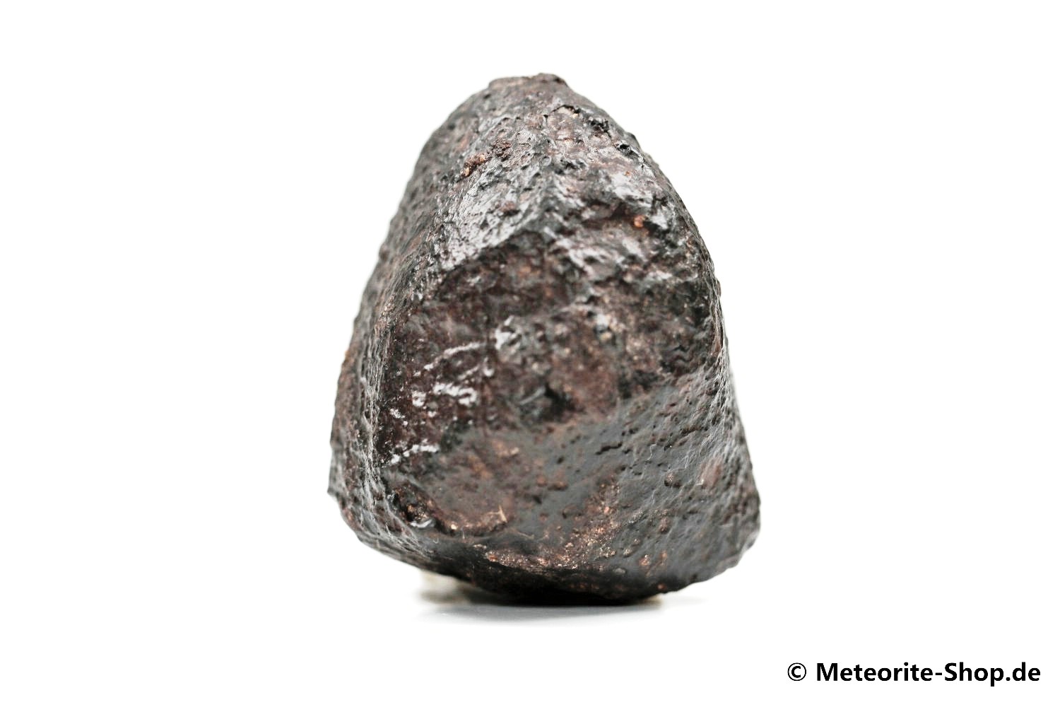 NWA Zagora Meteorit - 46,90 g