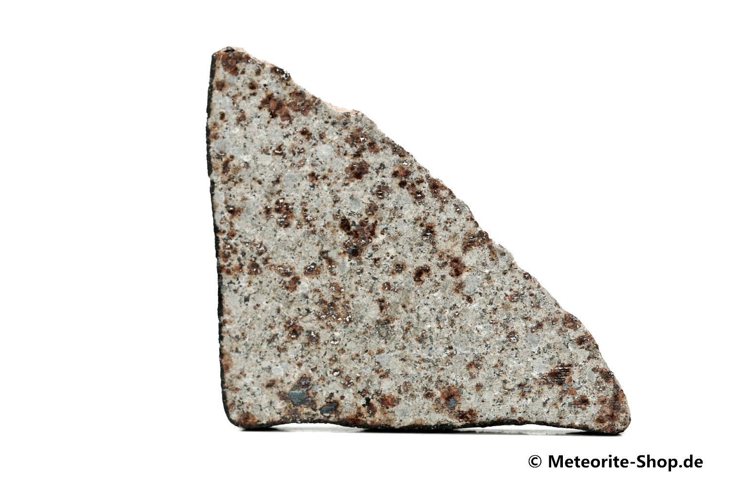 HaH 346 GHADAMIS Meteorit - 11,60 g