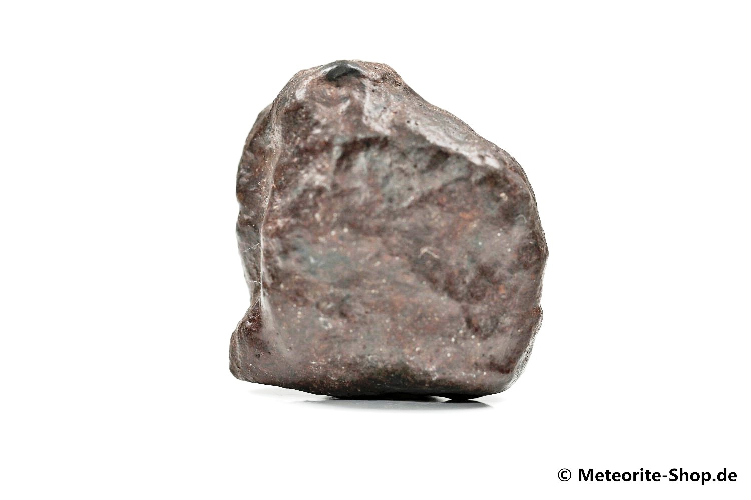 NWA Casablanca Meteorit - 42,40 g