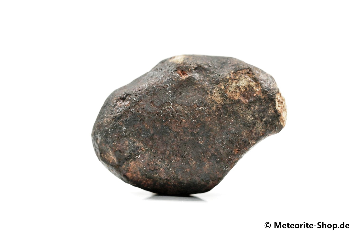 NWA Smara Meteorit - 42,40 g