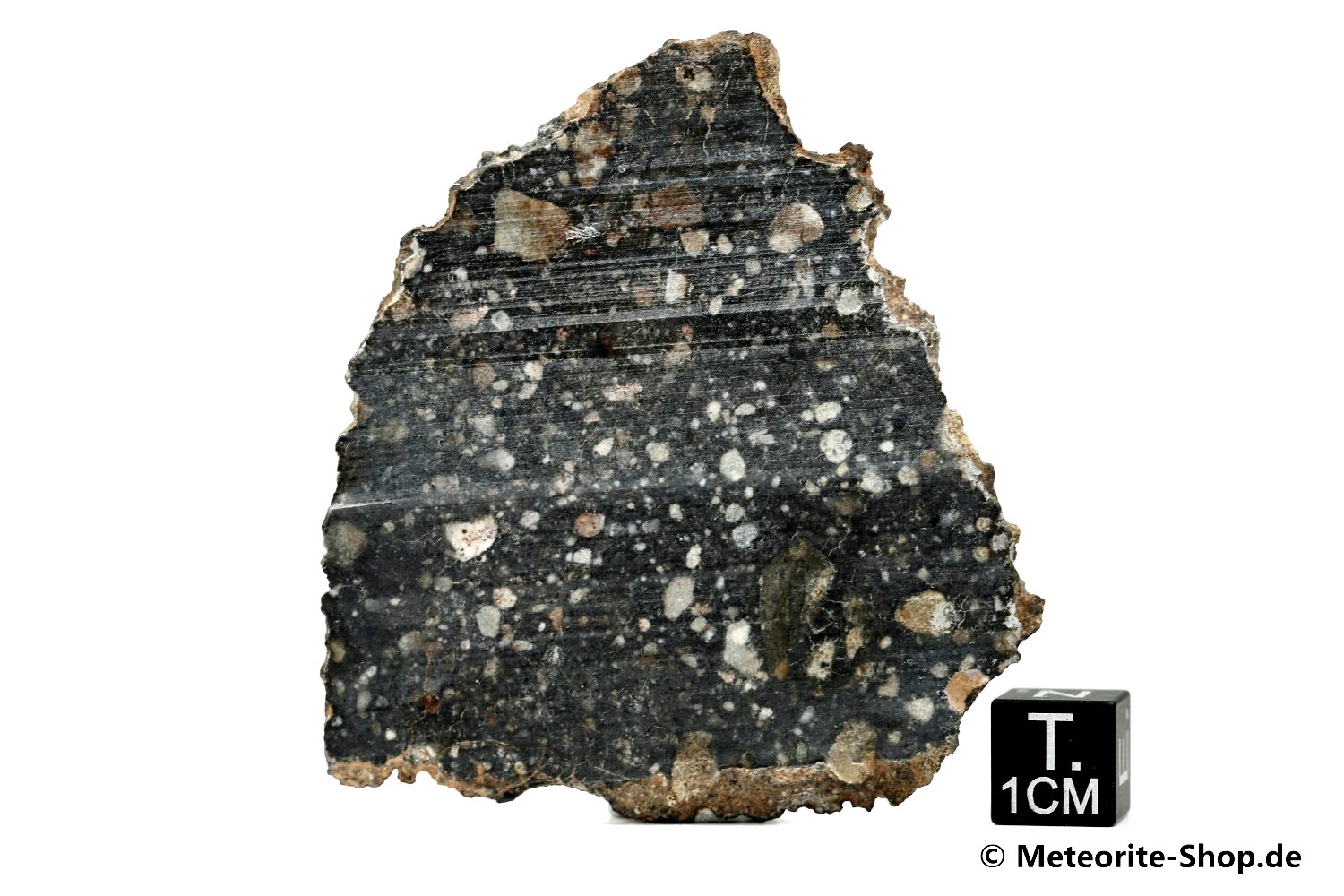 NWA 11407 Mond Meteorit - 9,20 g