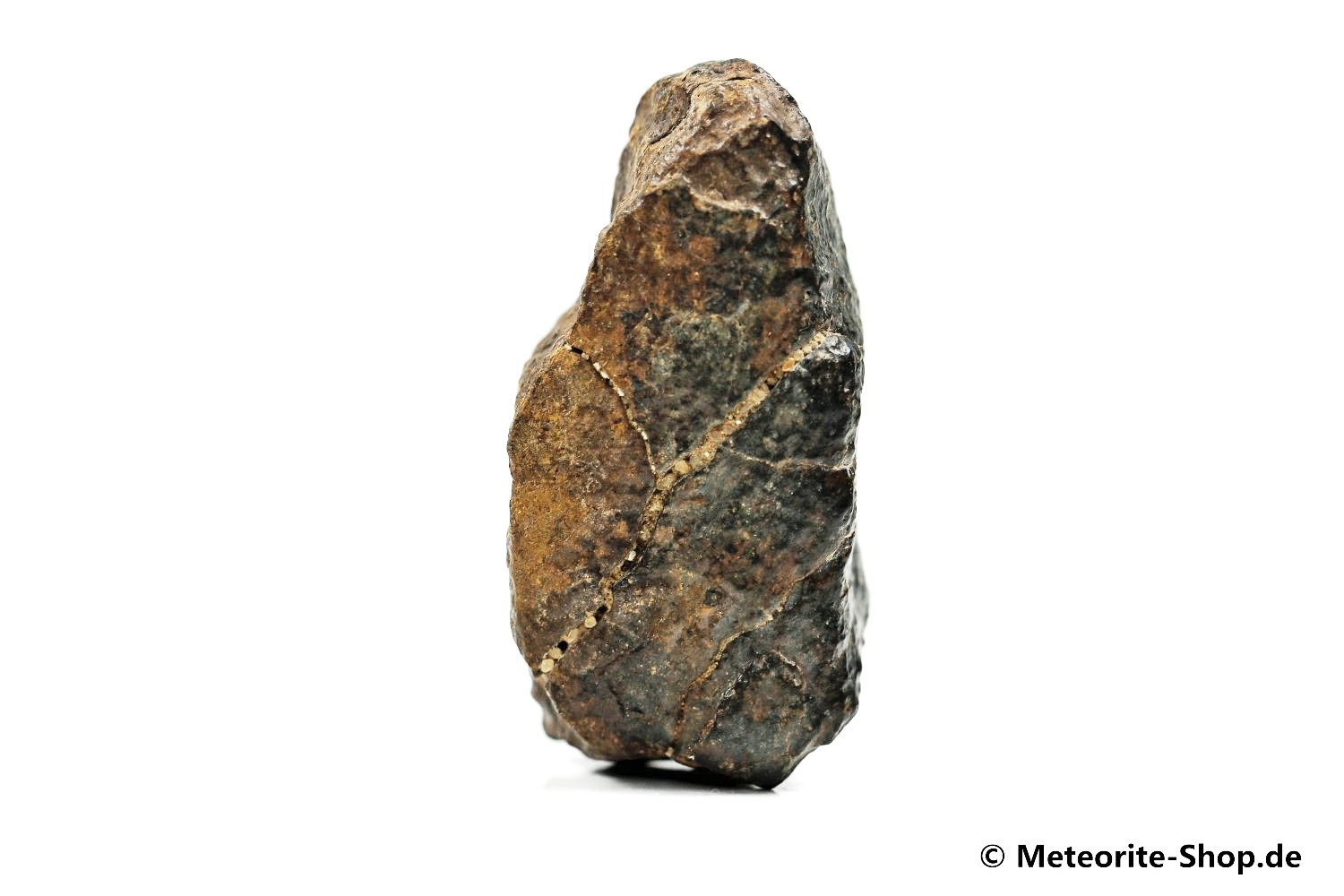 NWA Rissani Meteorit - 36,80 g