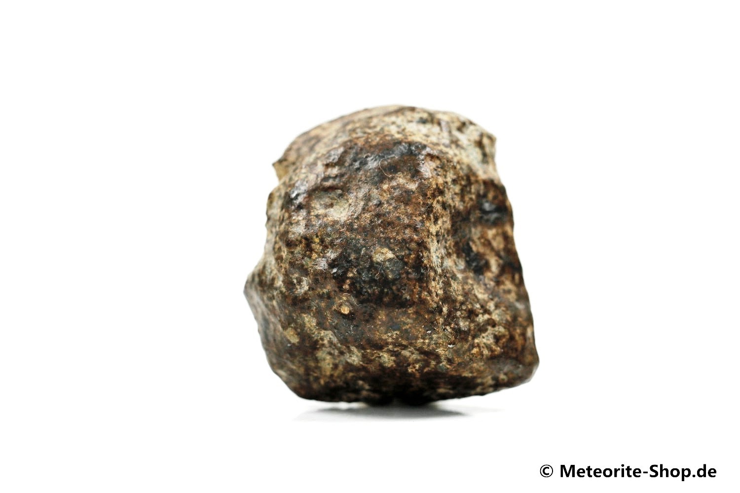 NWA Rissani Meteorit - 26,90 g