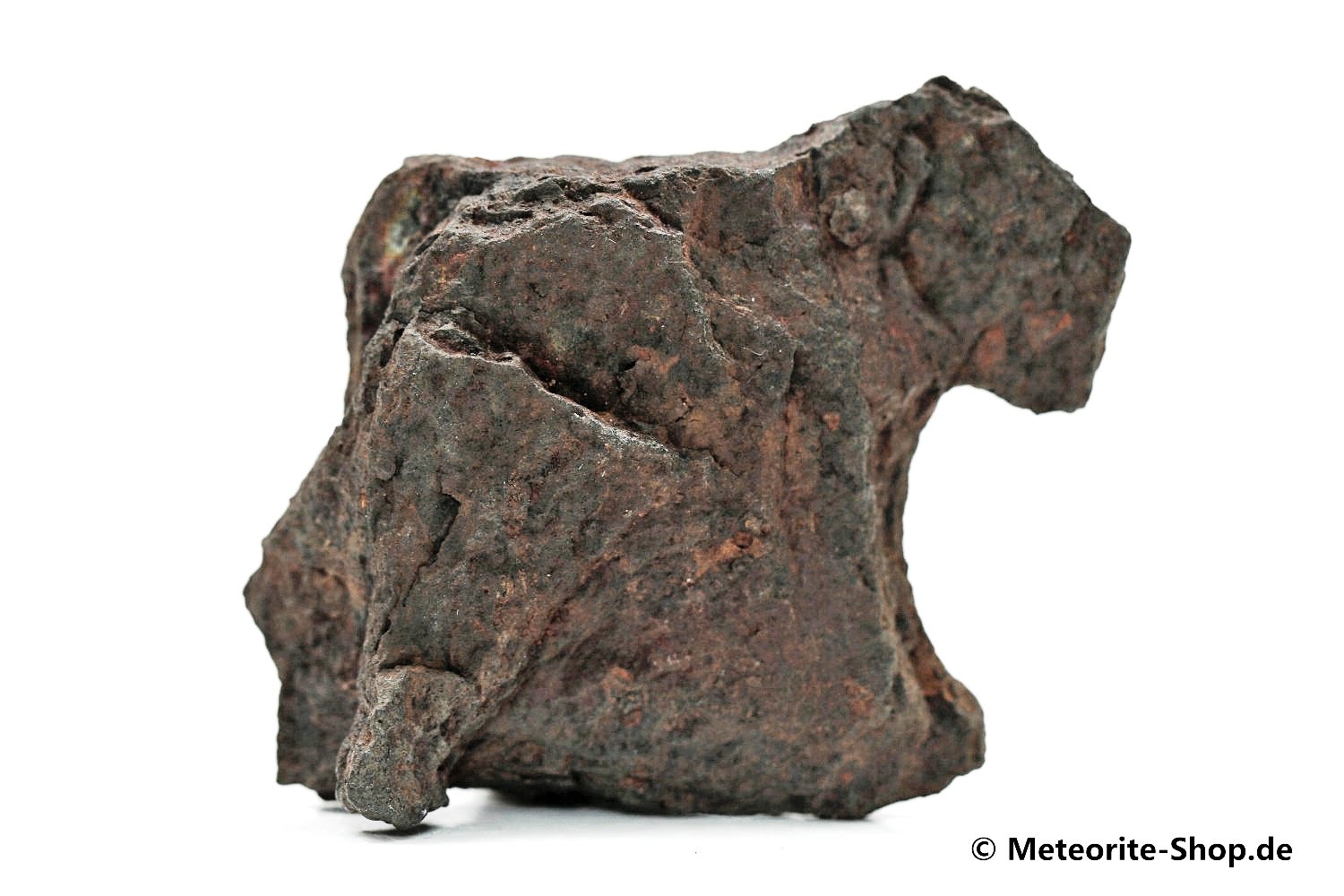 Vaca Muerta Meteorit - 43,50 g