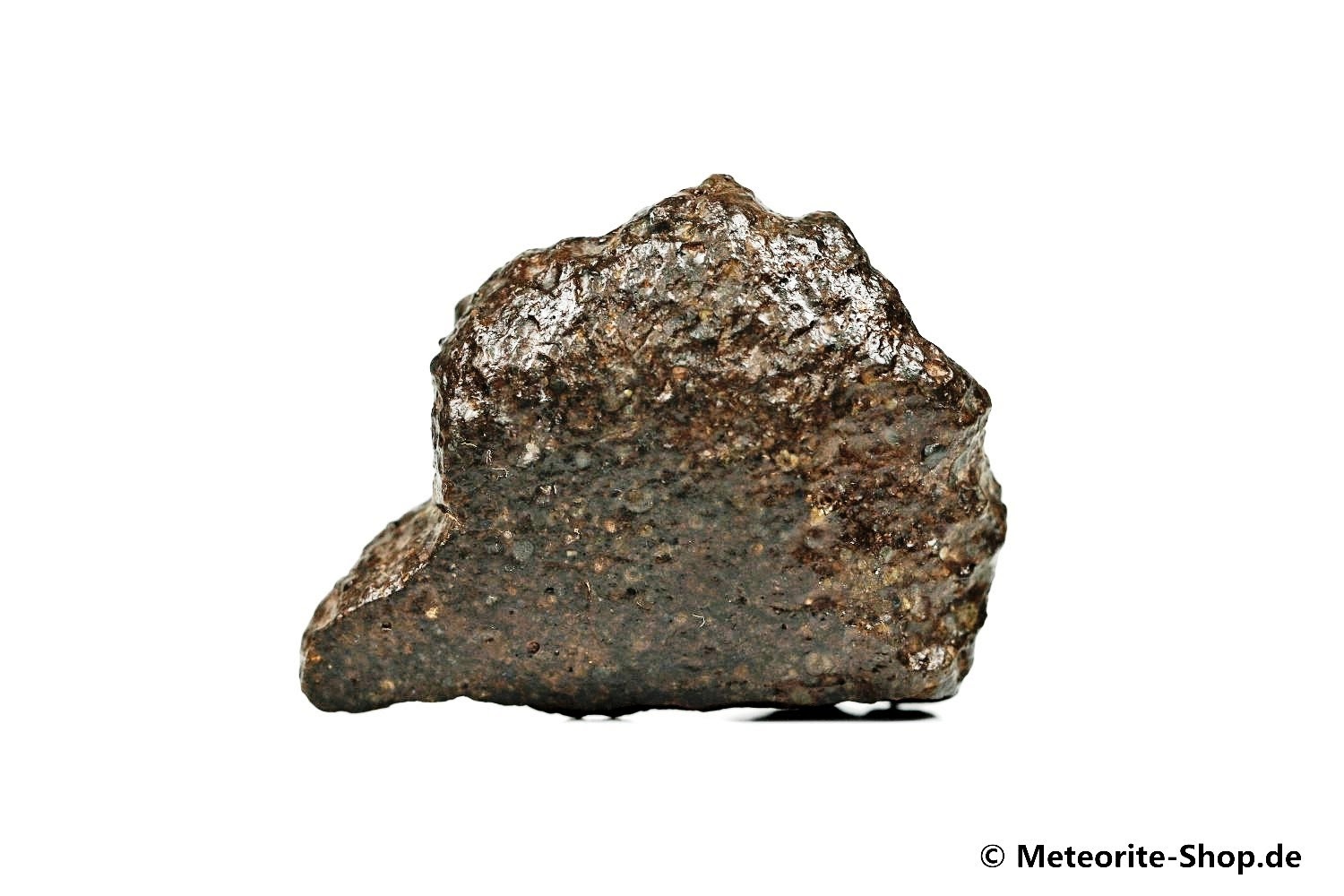 NWA Ouarzazate Meteorit - 50,10 g