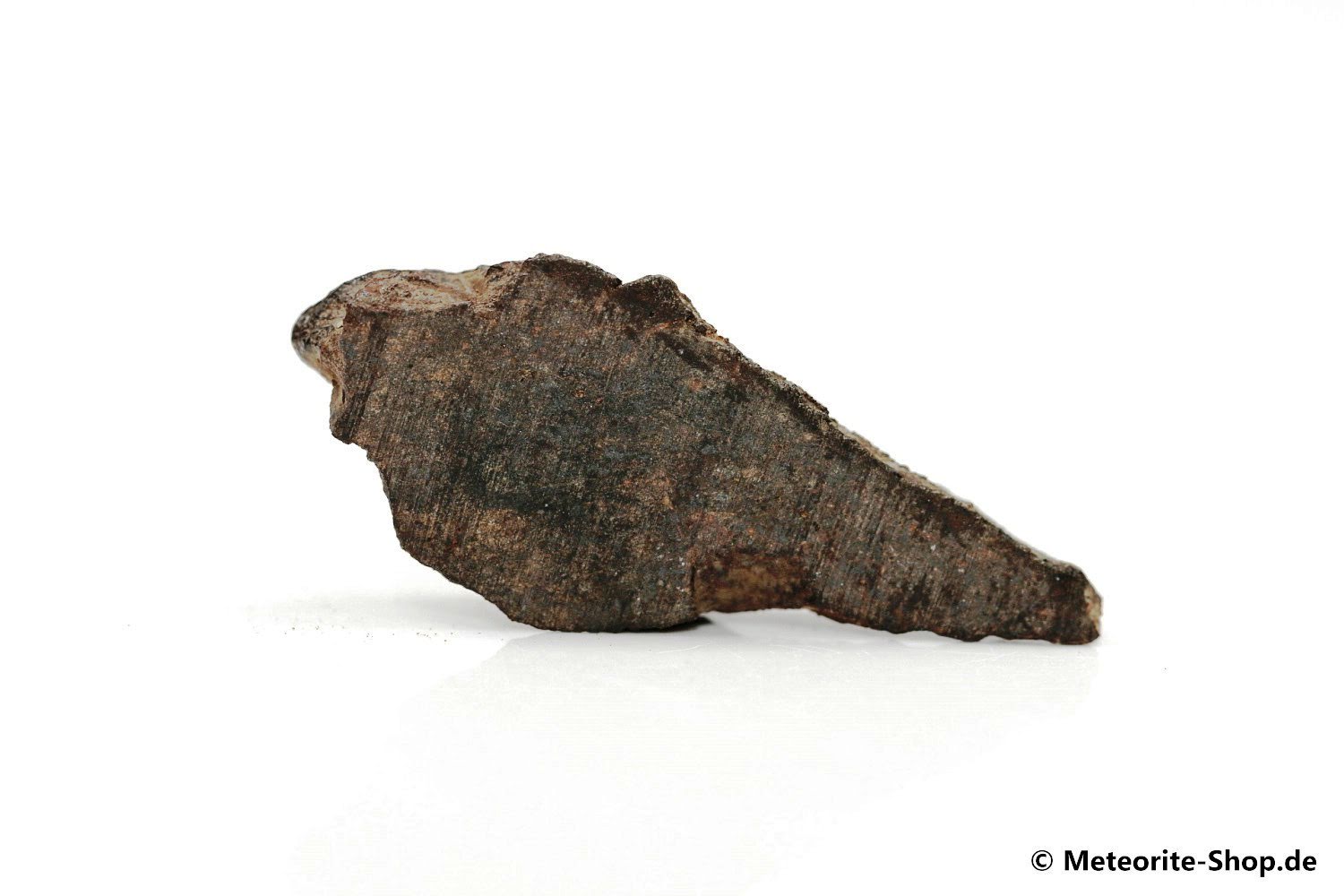 Dhofar 020 Meteorit - 7,20 g