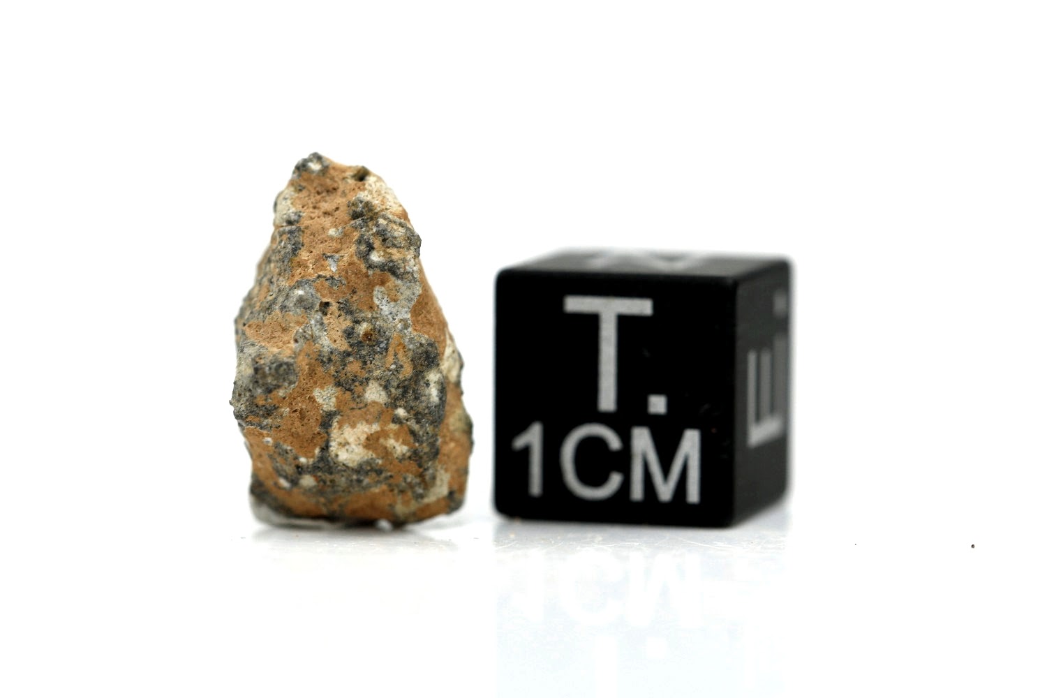 NWA 11407 Mond Meteorit - 1,220 g