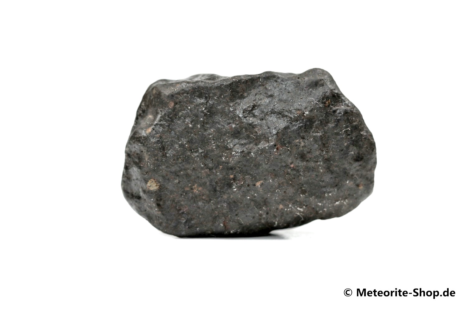 Tassédet 004 (Tchifaddine) Meteorit - 31,50 g