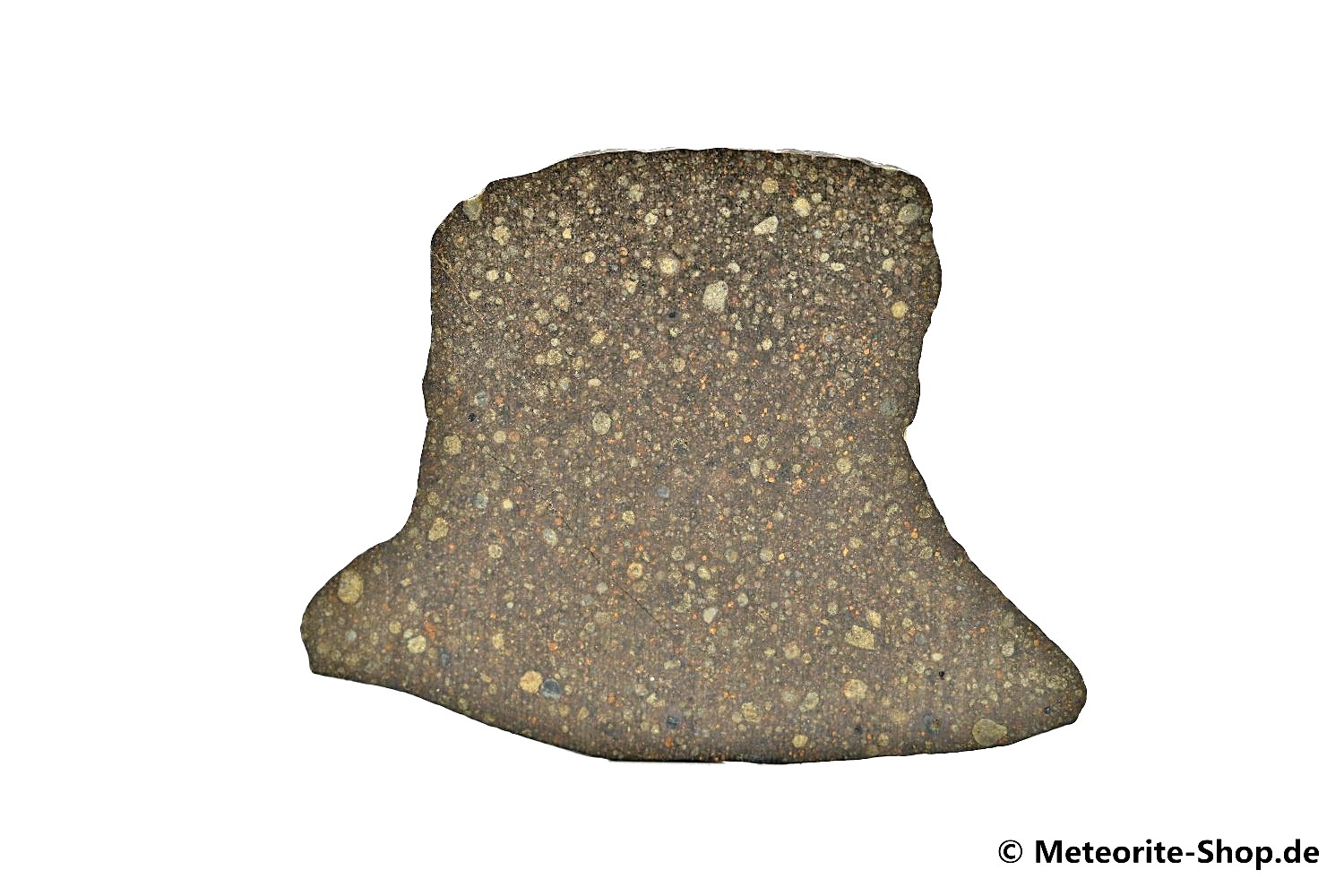 Gouchi 001 Meteorit - 4,00 g