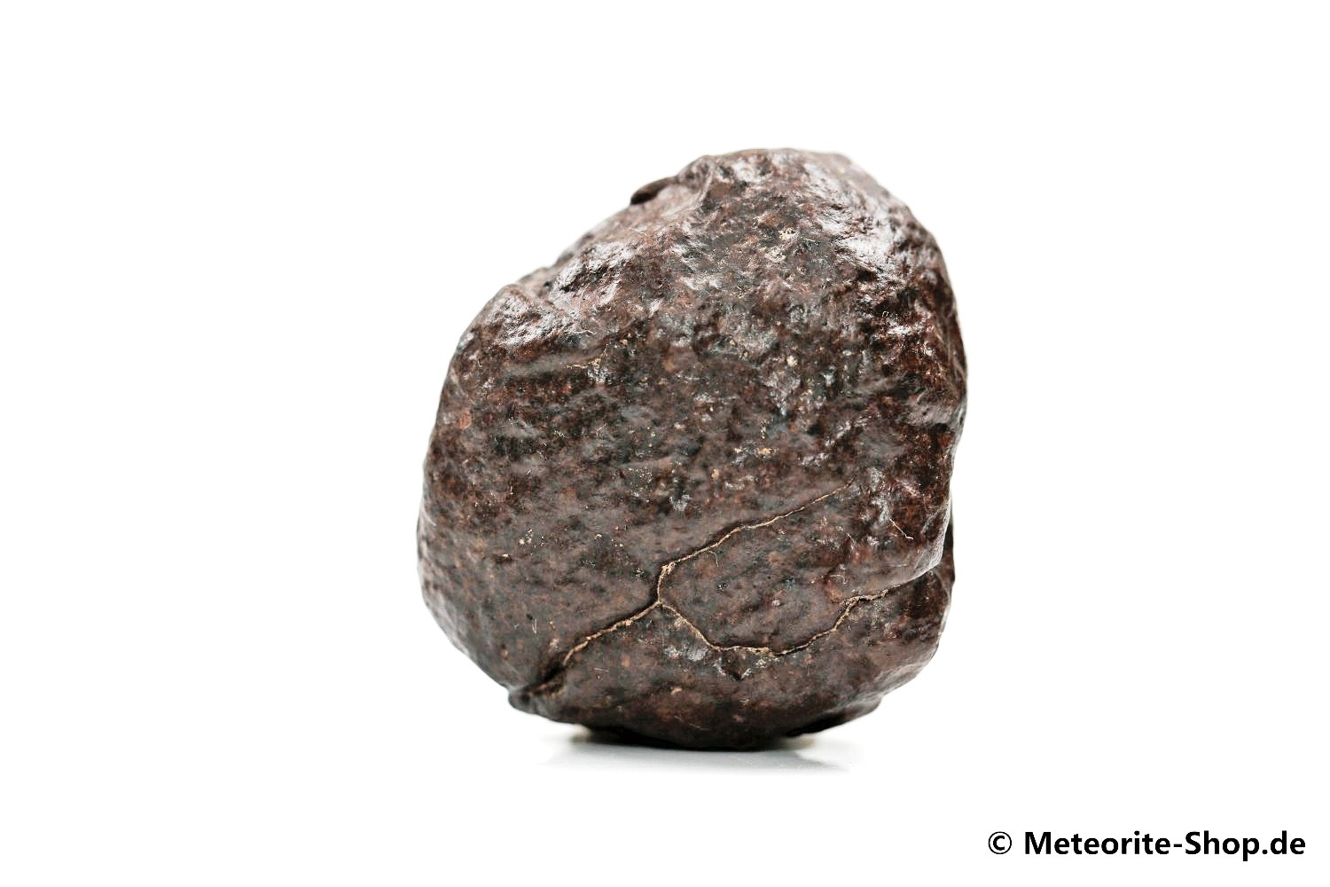 NWA Zagora Meteorit - 42,00 g