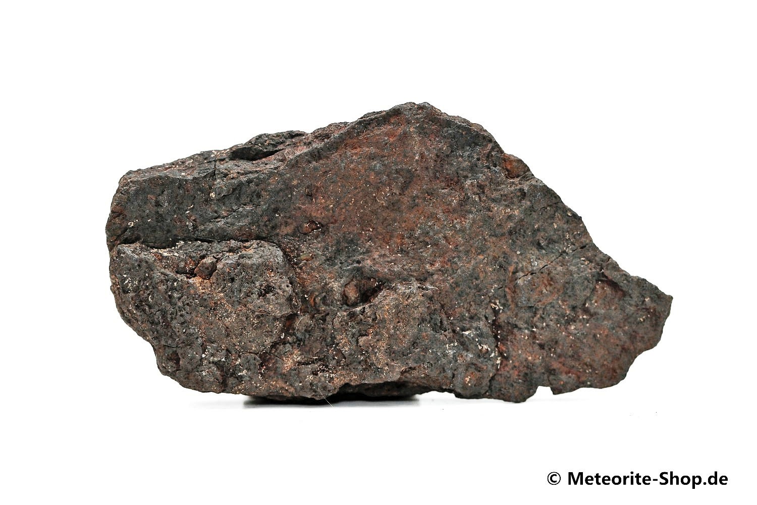 Vaca Muerta Meteorit - 20,60 g