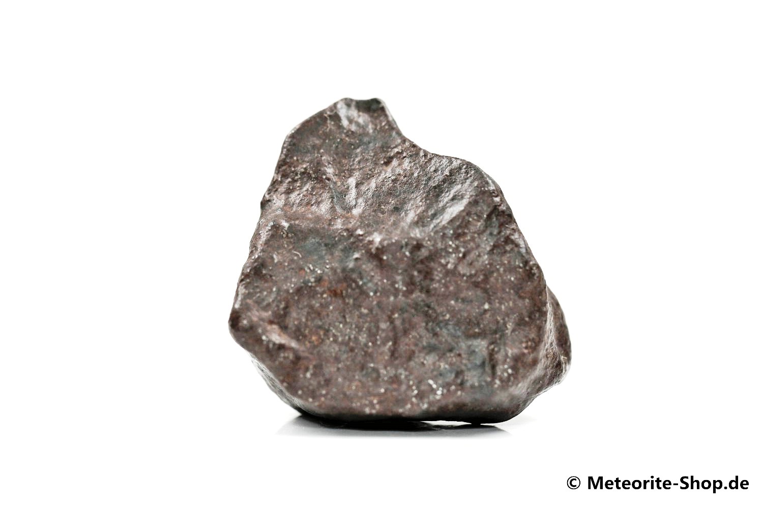 NWA Erfoud Meteorit - 33,60 g