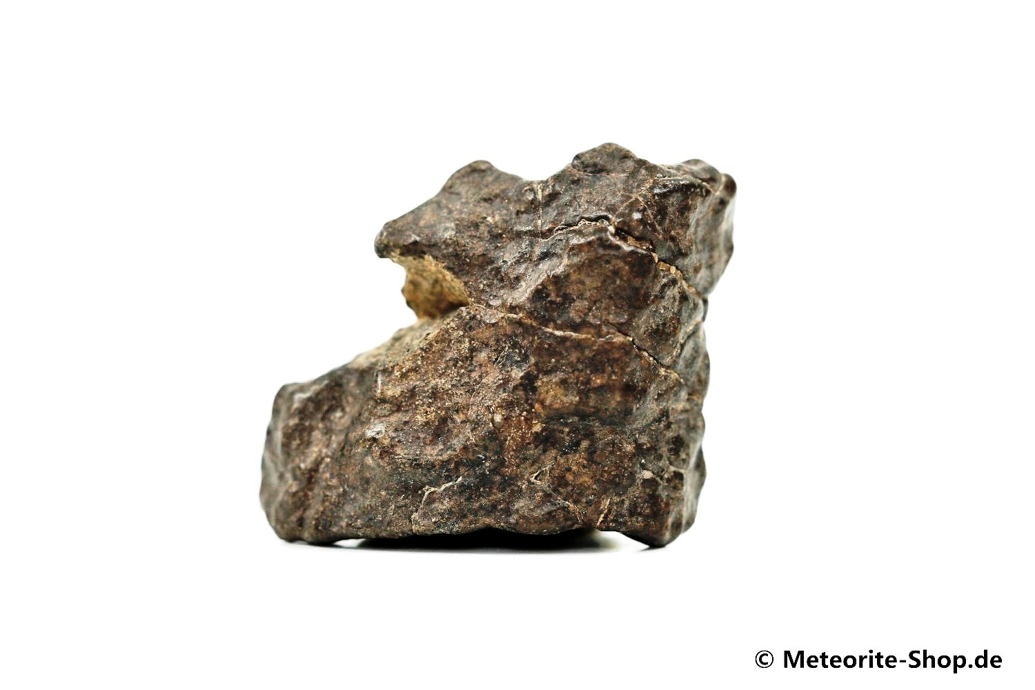 NWA Zagora Meteorit - 11,20 g