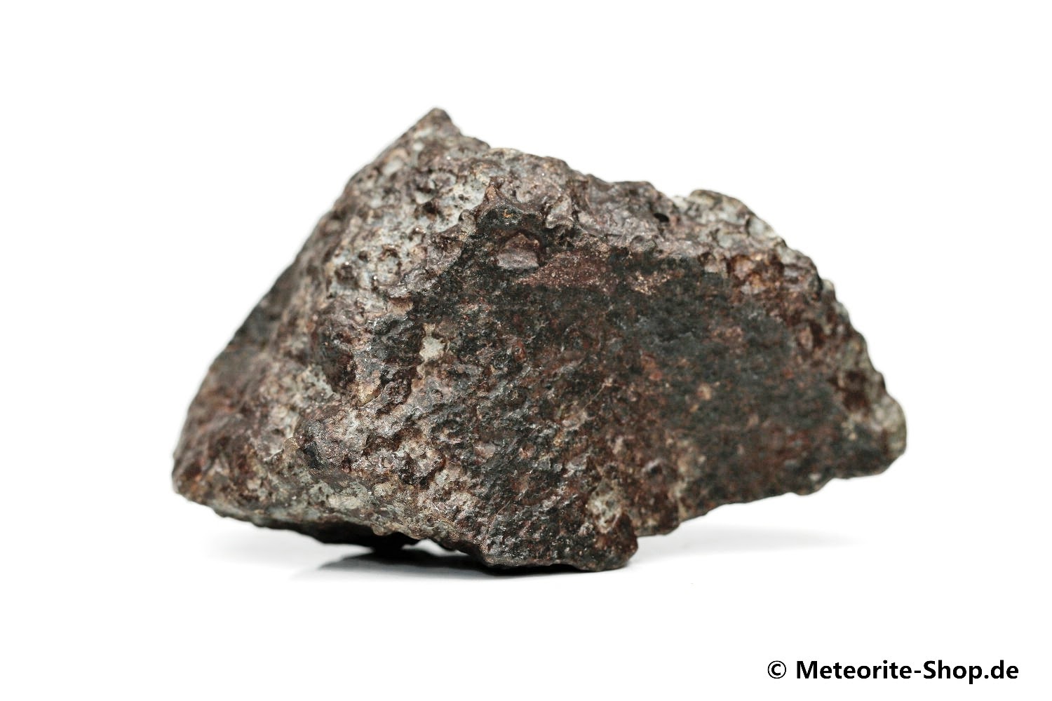 NWA 869 Meteorit - 74,10 g