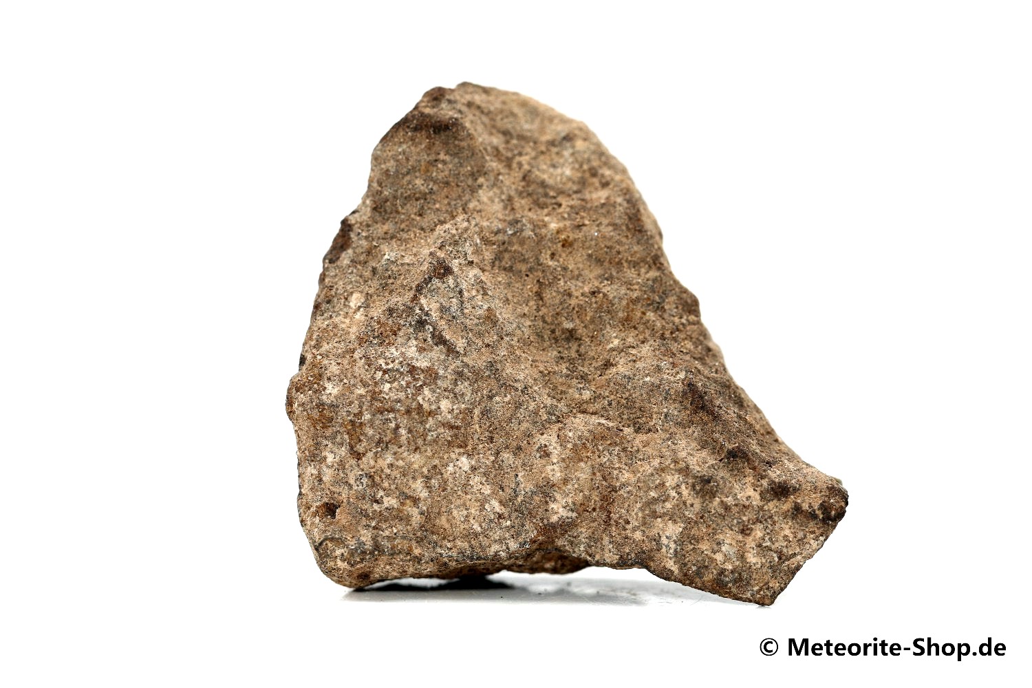Al Haggounia 001 Meteorit - 23,40 g