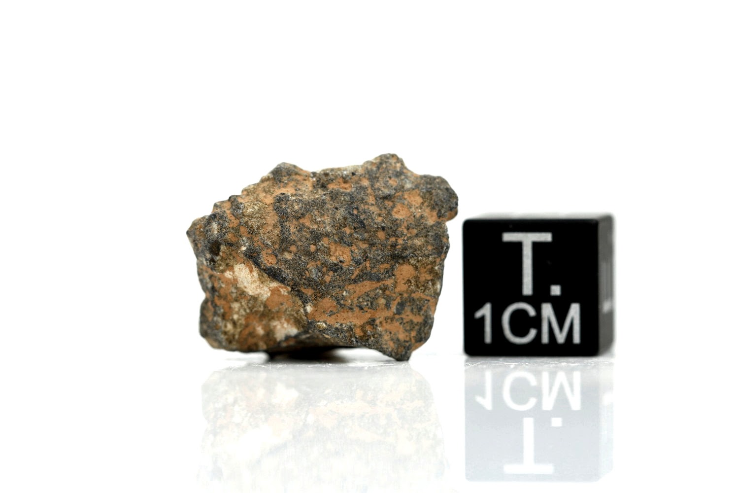 NWA 11407 Mond Meteorit - 3,530 g