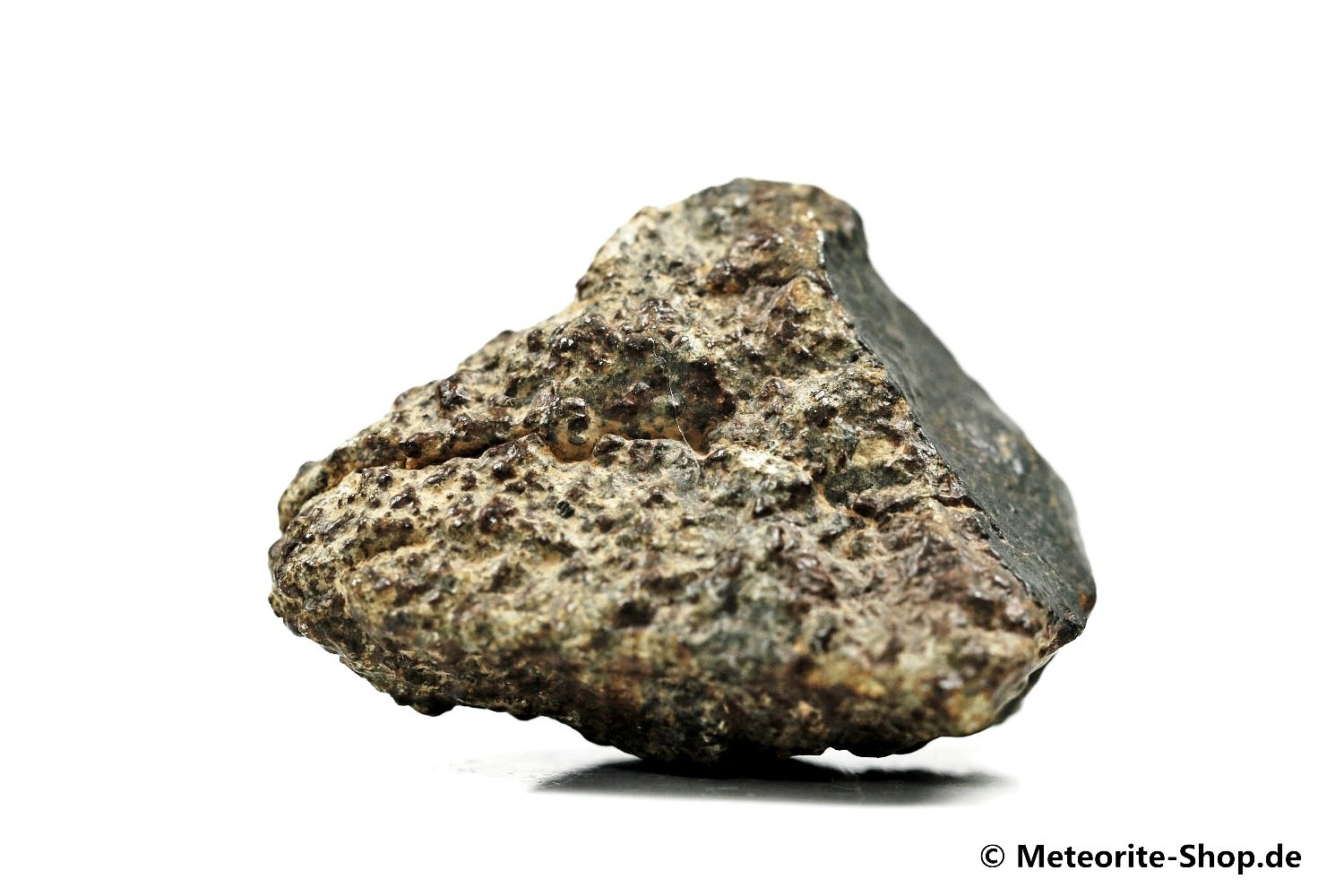 Alnif Meteorit - 30,90 g