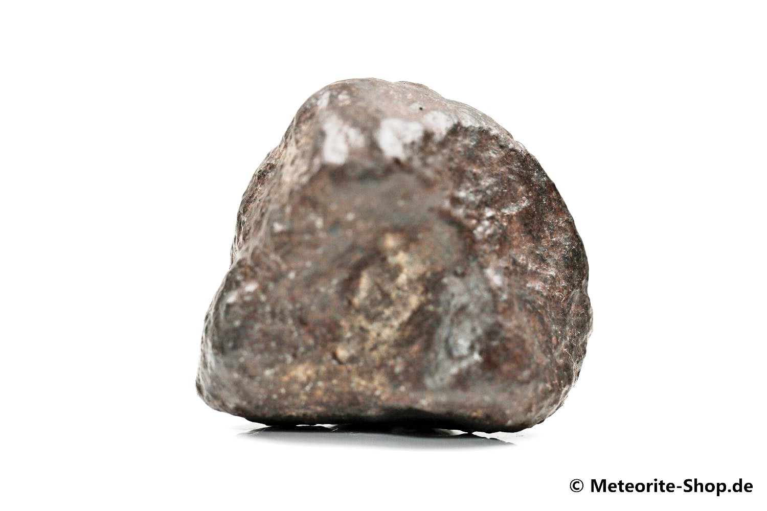 NWA Casablanca Meteorit - 61,20 g
