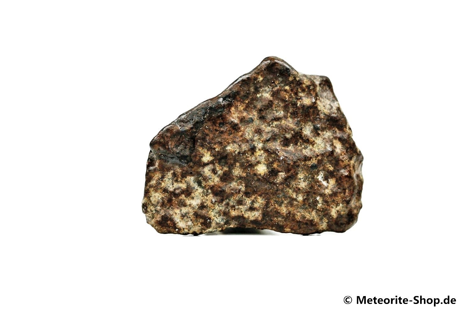 NWA Erfoud Meteorit - 20,40 g