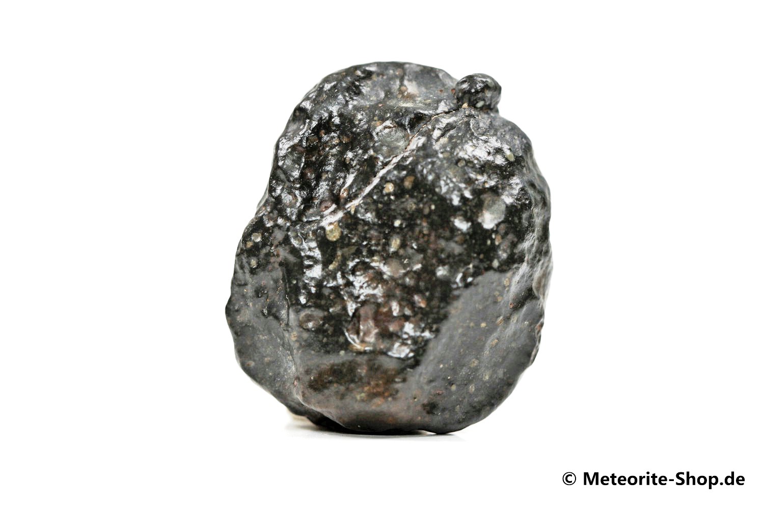 Tanezrouft 092 Meteorit - 16,50 g