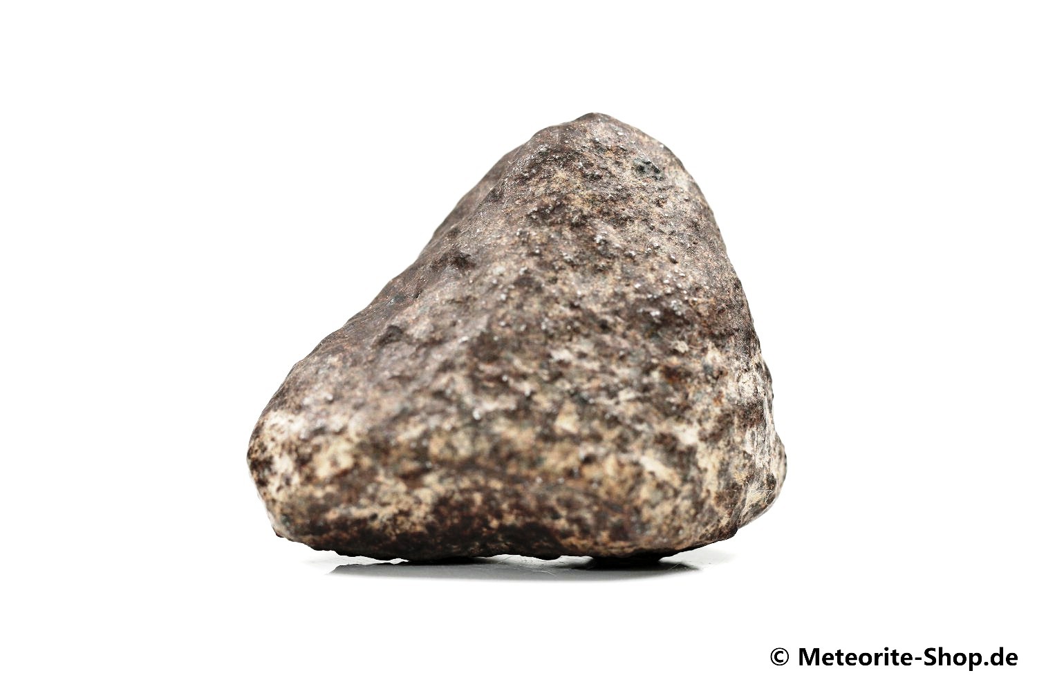 NWA Casablanca Meteorit - 60,20 g