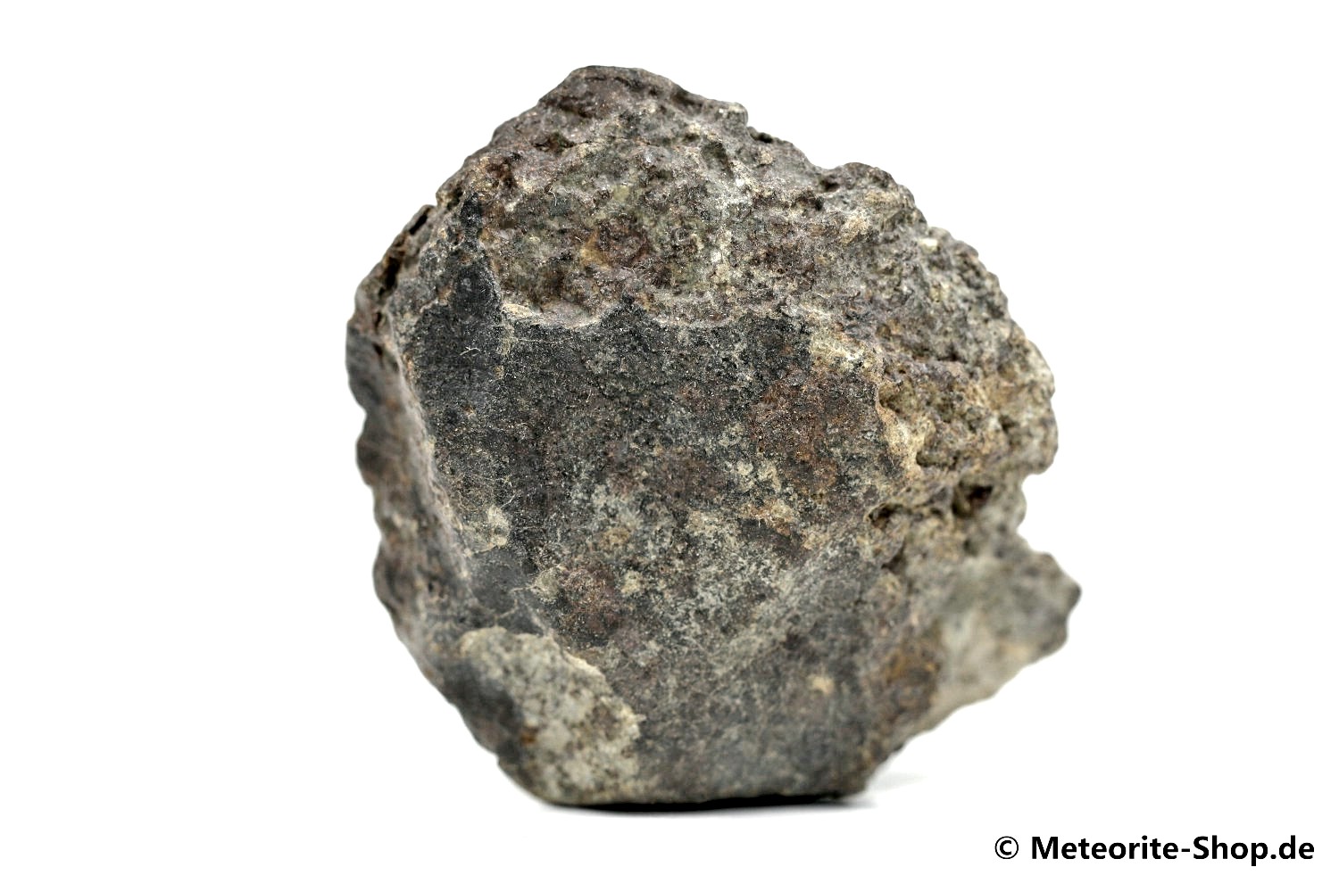 NWA 869 Meteorit - 108,80 g