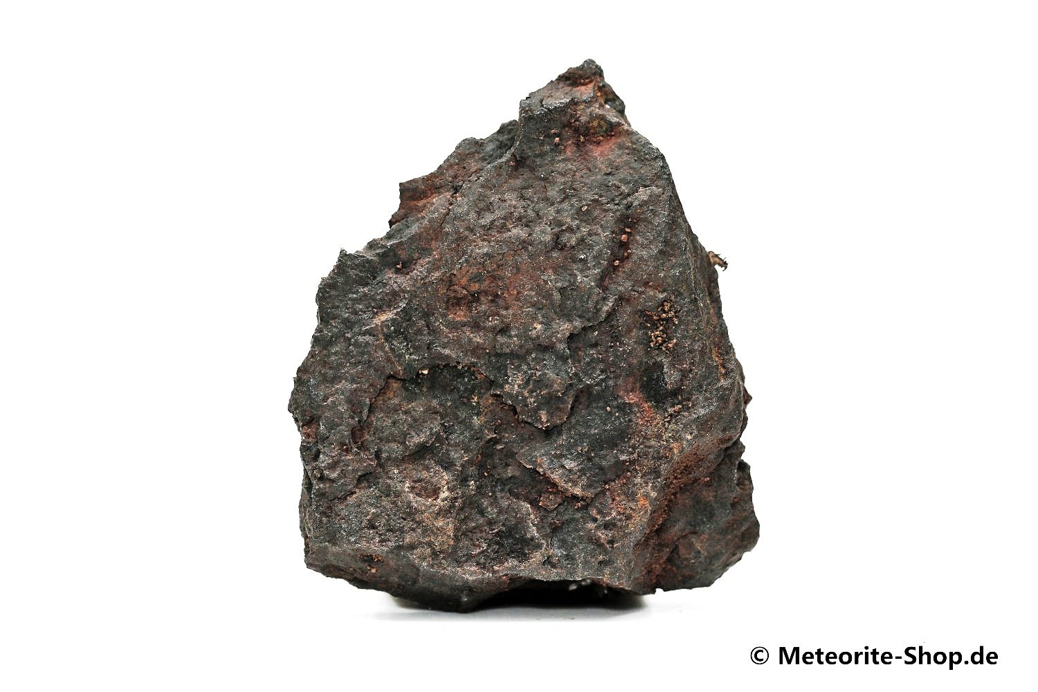 Vaca Muerta Meteorit - 11,70 g