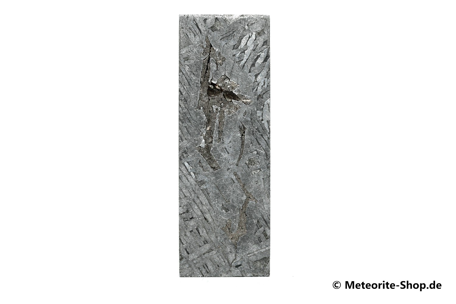 Aletai Meteorit - 40,00 g