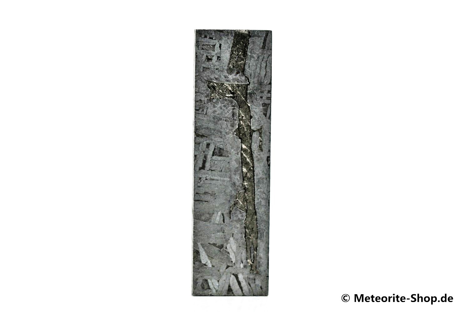 Aletai Meteorit - 36,30 g