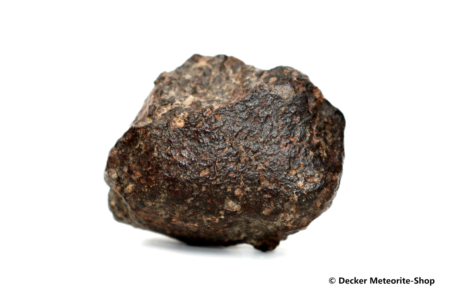 NWA 869 Meteorit - 65,10 g