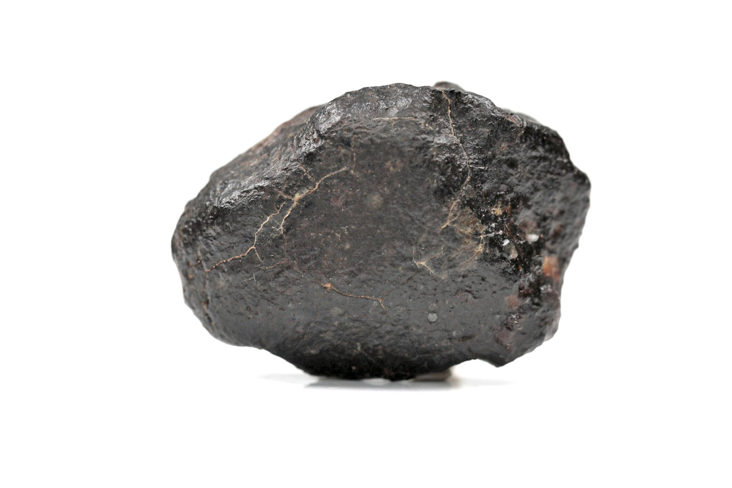 NWA Zagora Meteorit - 19,00 g