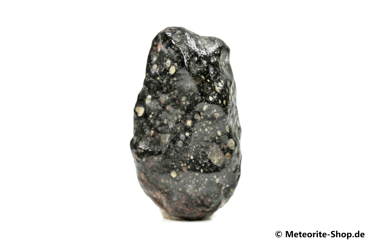 Tanezrouft 092 Meteorit - 6,90 g