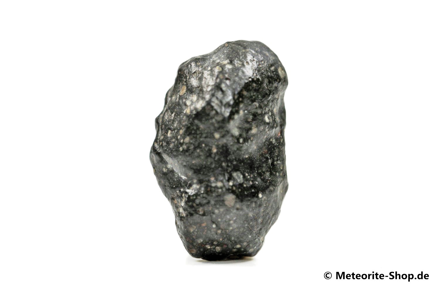 Tanezrouft 092 Meteorit - 4,20 g