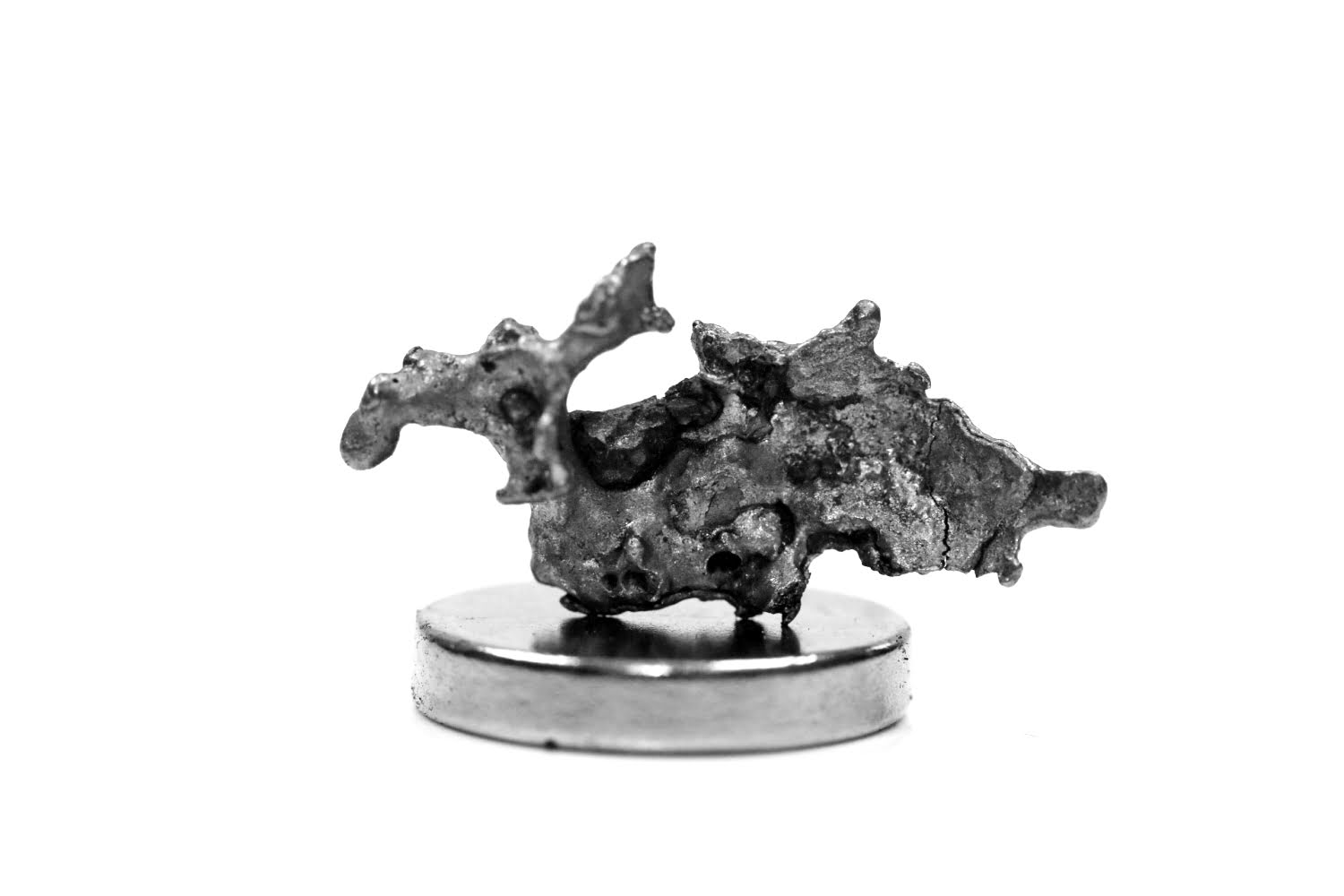 Campo del Cielo Meteorit - 1,35 g
