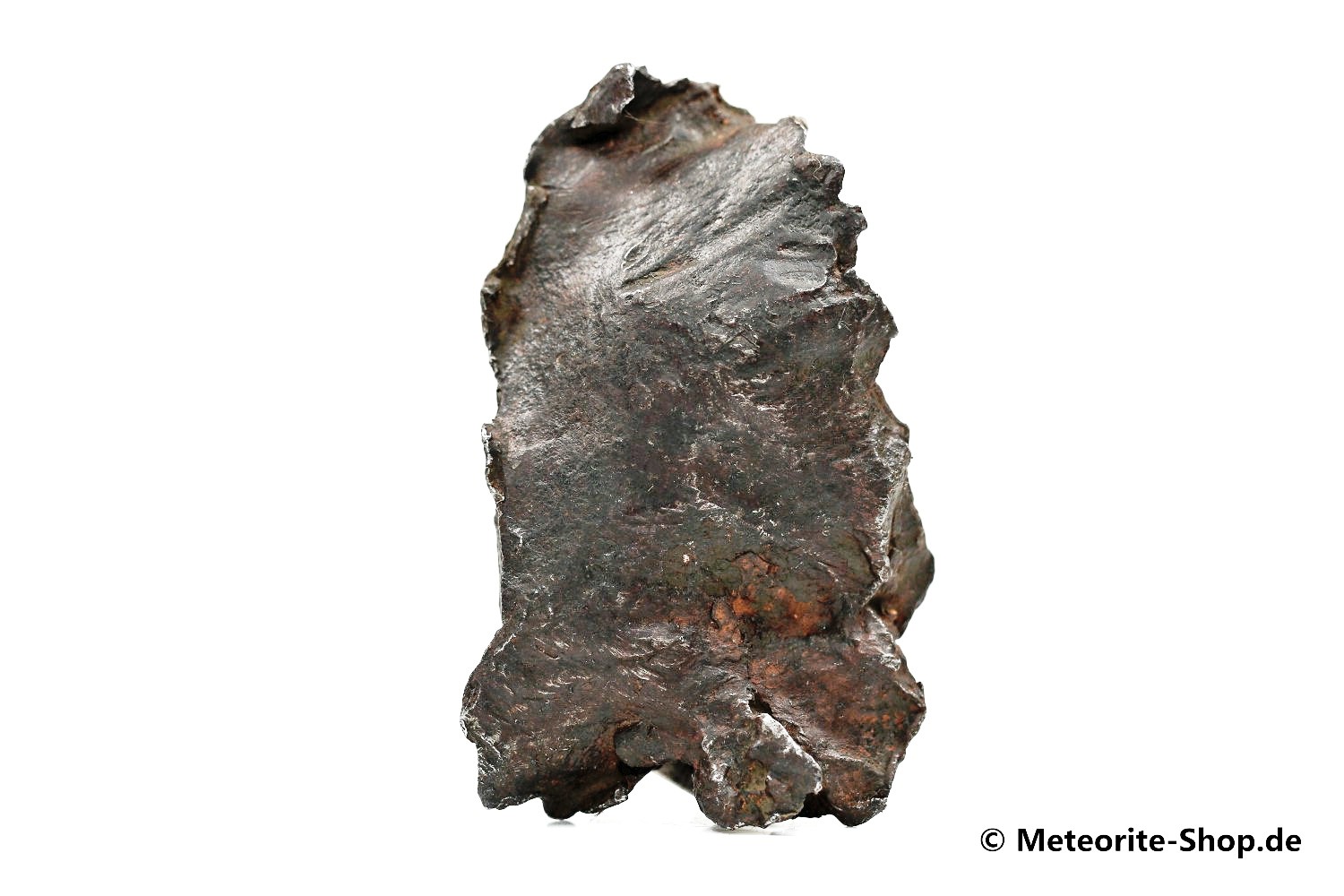 Sikhote-Alin Meteorit - 75,20 g