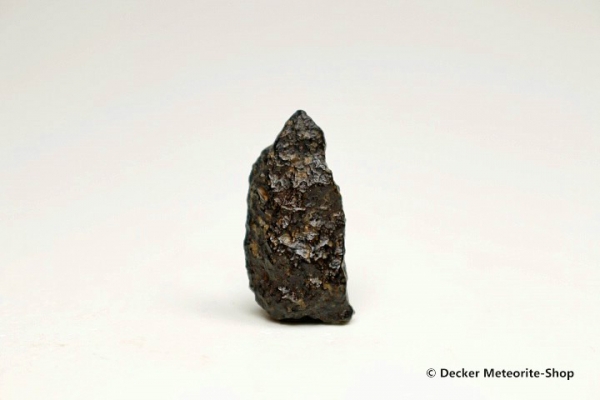 NWA 3118 Meteorit - 1,75 g