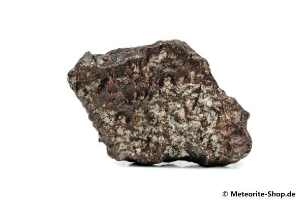 NWA 869 Meteorit - 59,00 g