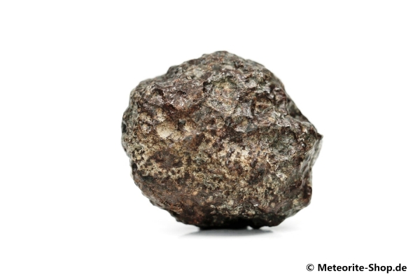 NWA 869 Meteorit - 45,00 g
