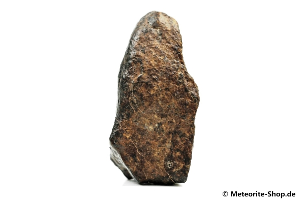 NWA Rissani Meteorit - 36,80 g