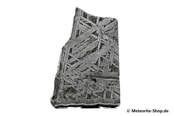 Aletai Meteorit - 33,10 g