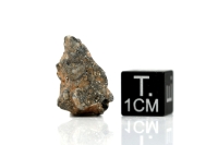 NWA 11407 Mond Meteorit - 1,688 g NWA 11407 Mond Meteorit - 1,688 g