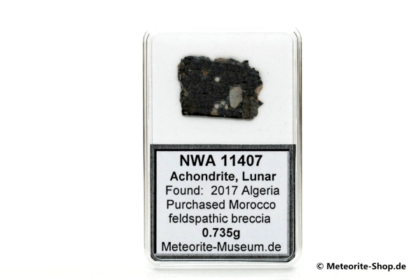 NWA 11407 Mond Meteorit - 0,735 g