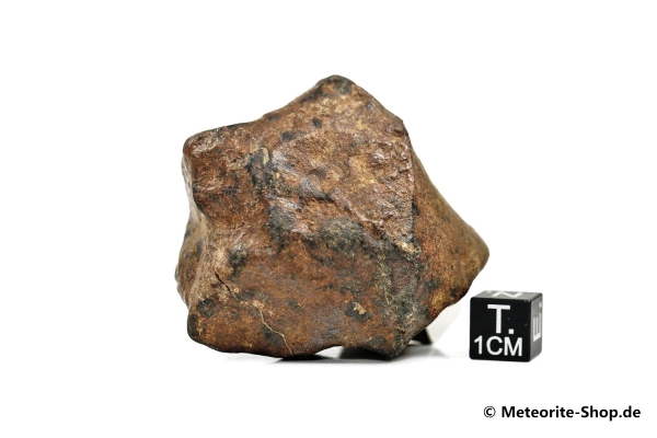 NWA Westsahara Meteorit - 131,40 g
