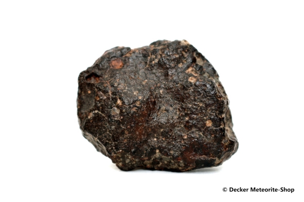 NWA 869 Meteorit - 65,10 g