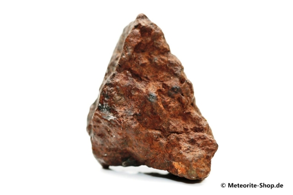 NWA Westsahara Meteorit - 65,30 g